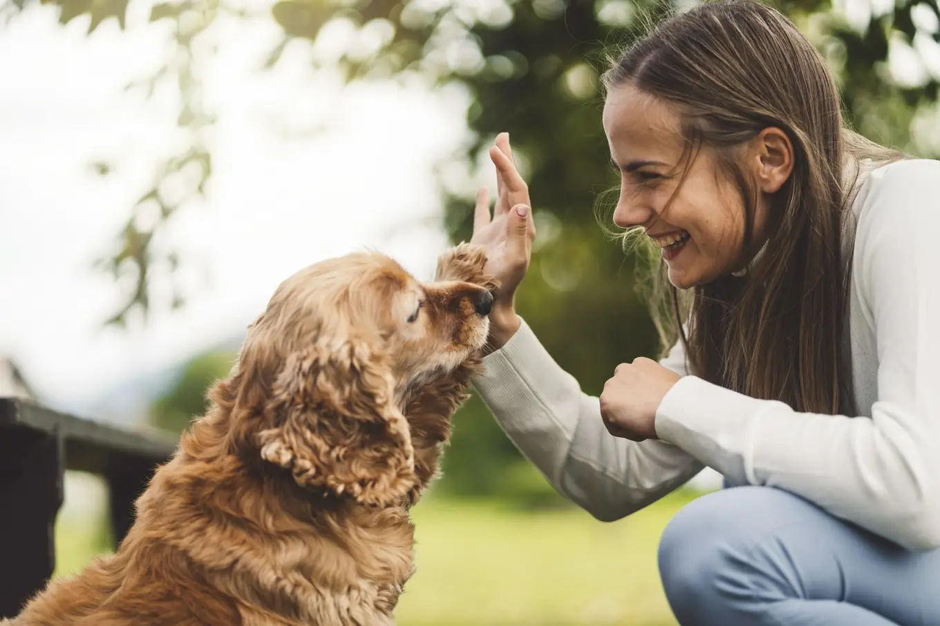 kobieta przybijająca piątkę psu